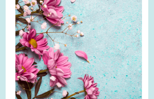 wie du den Frühling für deine Abnahme nutzen kannst